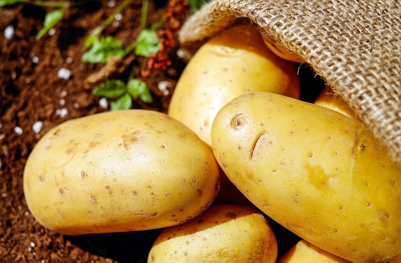 Seasonal Produce